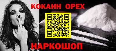 стаф Гатчина