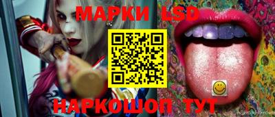 спайс Гай