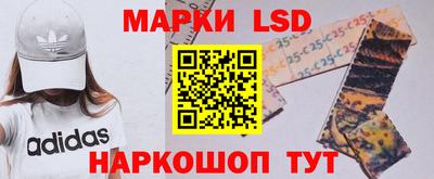 стаф Гатчина