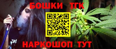 стаф Гатчина