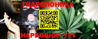 спайс Гай