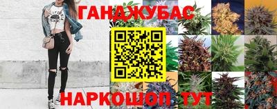спайс Гай
