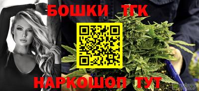 стаф Гатчина