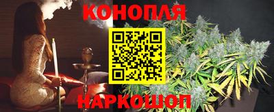 стаф Гатчина