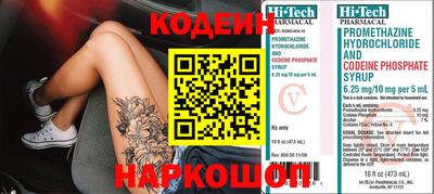 стаф Гатчина