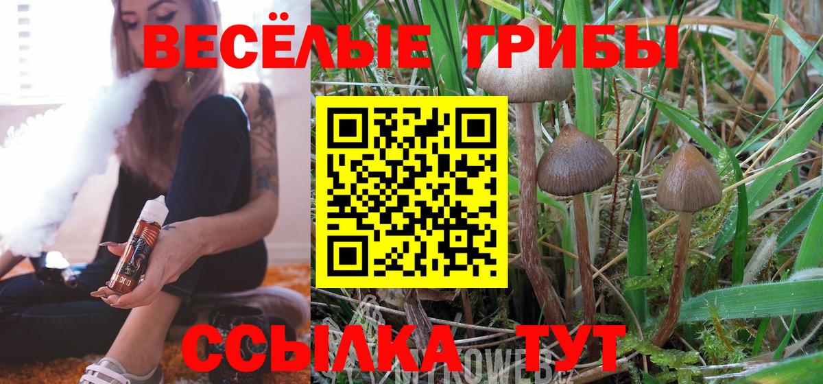 Галлюциногенные грибы мухоморы Красноперекопск