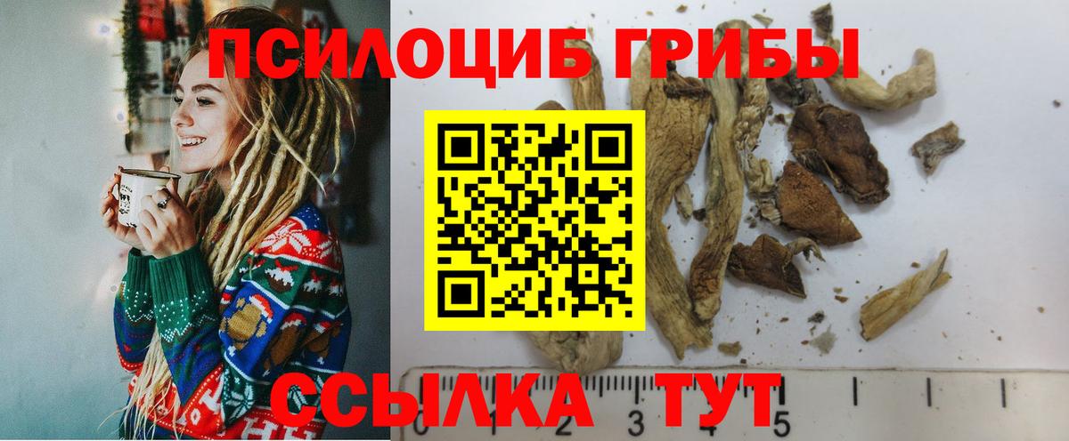 купить наркоту  Вход с VPN  Красноперекопск  Псилоцибиновые грибы GOLDEN TEACHER 
